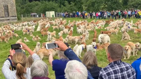 Golden retrievers to gather at the breed's ancestral Highland home