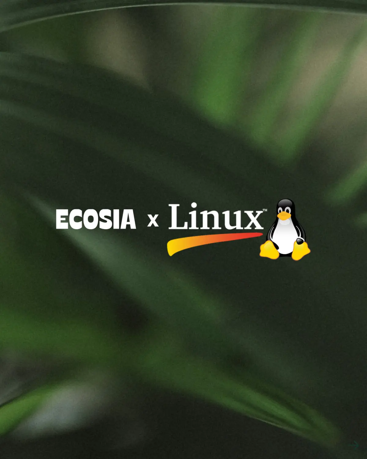 The search company that plants trees just launched a Linux browser to help Europe battle big tech