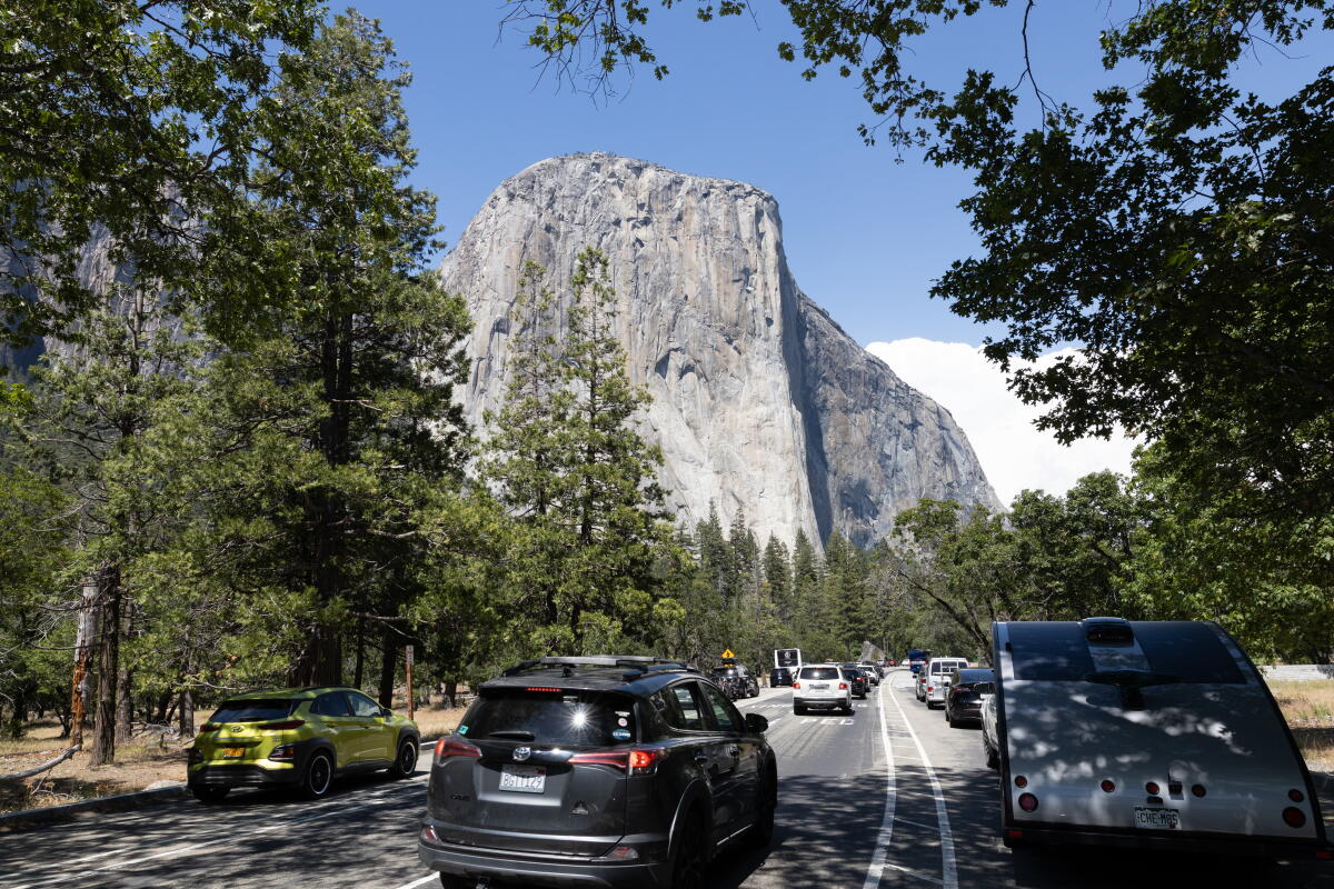 Yosemite National Park officials warn of rabies-infected bat three months after it was discovered
