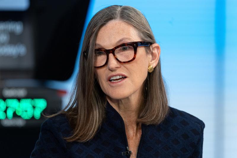 Cathie Wood's 2 Biggest Positions Are Both Elon Musk Companies. Together They Are 16% of the Fund.