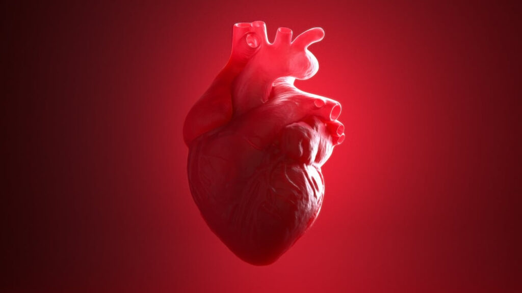 Novo Nordisk stops two cardiovascular trials of drug aimed at lowering inflammation