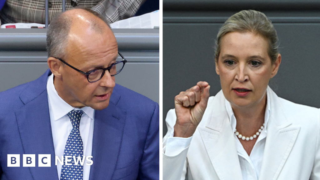 Germany's Merz attacks AfD in parliament after far-right election win