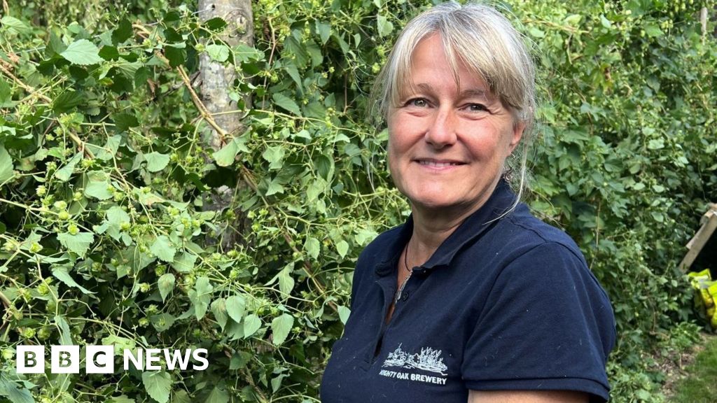 Beer hops being grown in Essex for first time in nearly 150 years