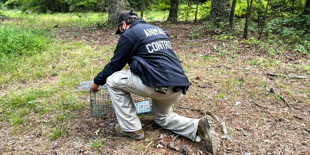 CDC warns of a summer spike in rabies exposures