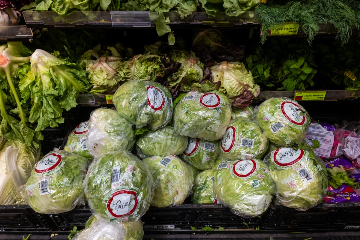 FDA declares largest-ever ‘explosive diarrhea’ outbreak over but origin still unknown