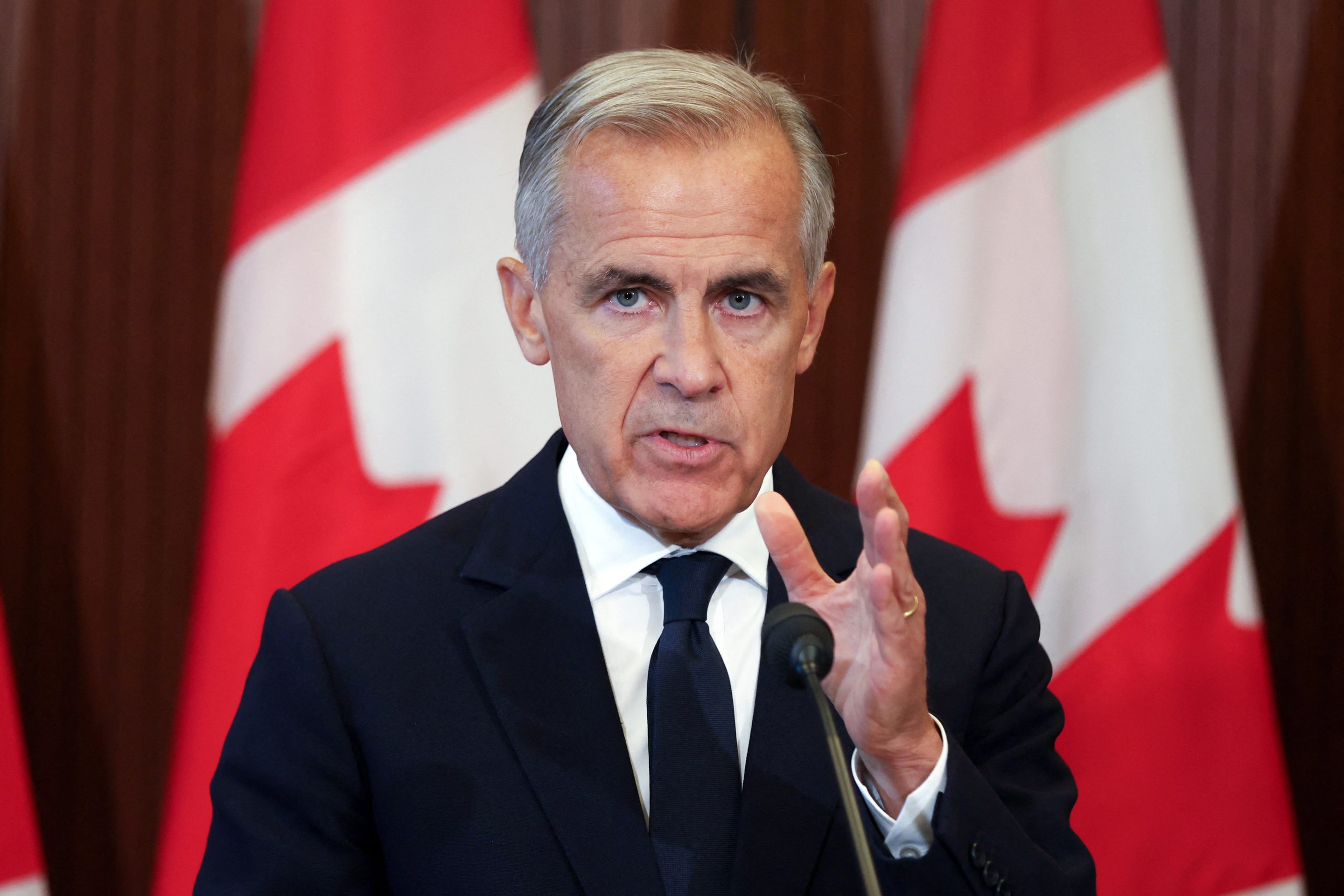 Mark Carney pitches Canada to global investors as 'much more than being next to the United States'