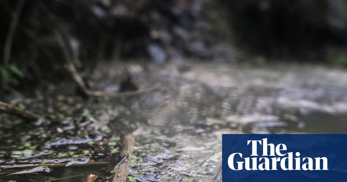 Mayors and other local leaders could be given powers to oversee water firms