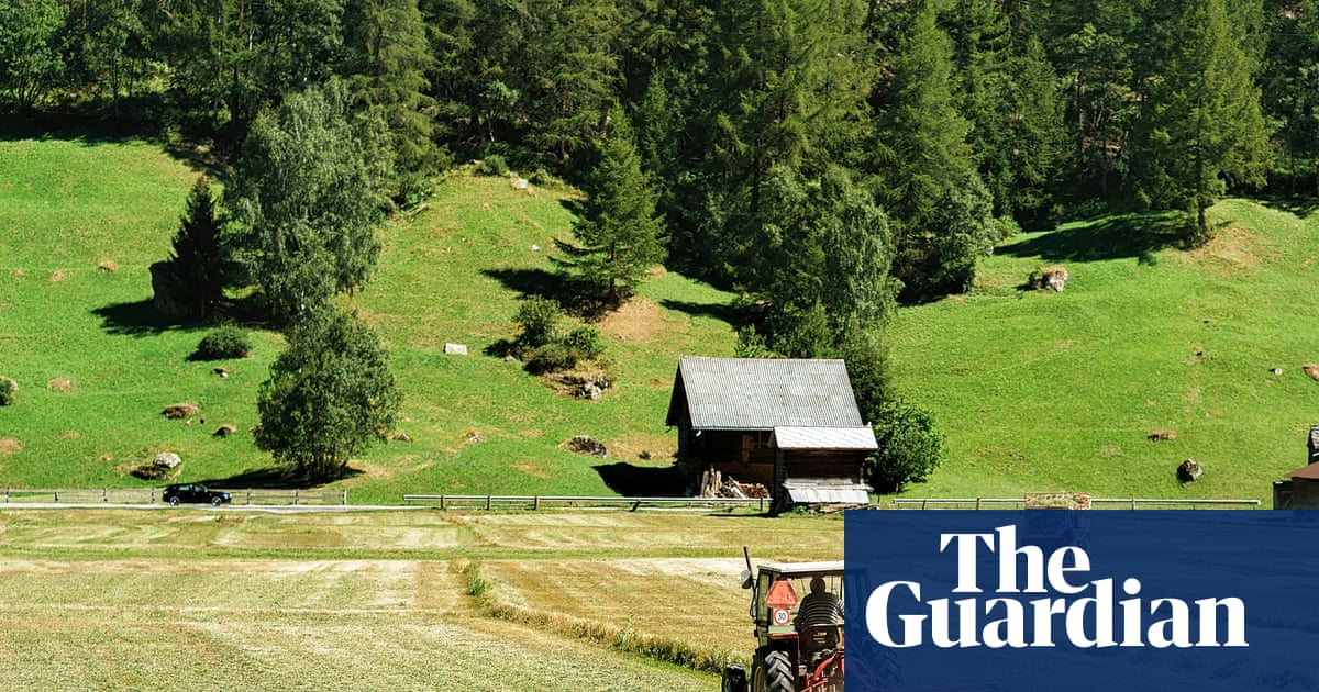 Microplastics in soil pose global threat by acting like ‘Trojan horse’ to deliver toxins
