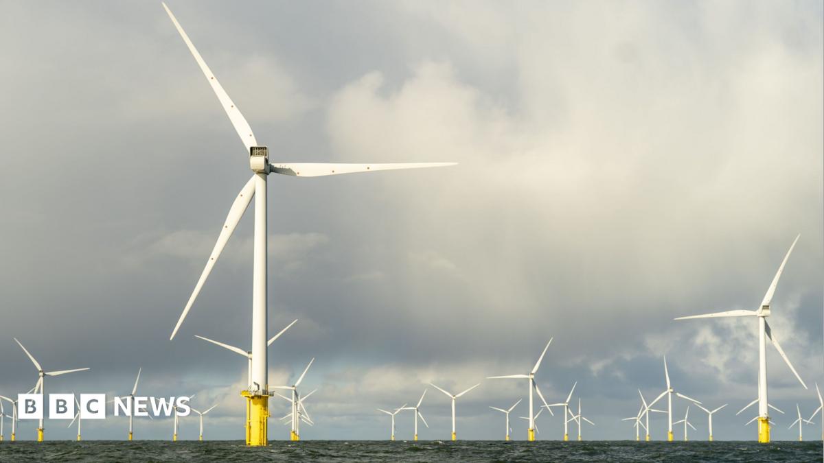 Watchdog calls for clarity on use of £755m ScotWind cash