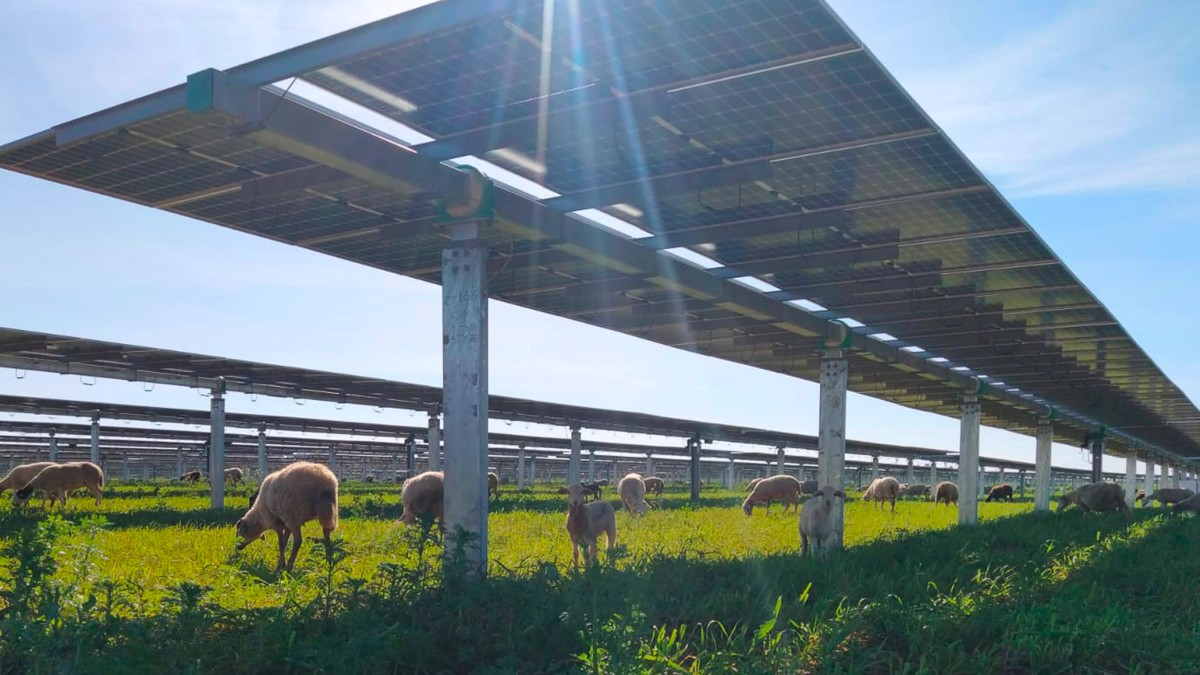 Turkey Bets $108 Billion on Wind and Solar While Expanding Oil and Gas
