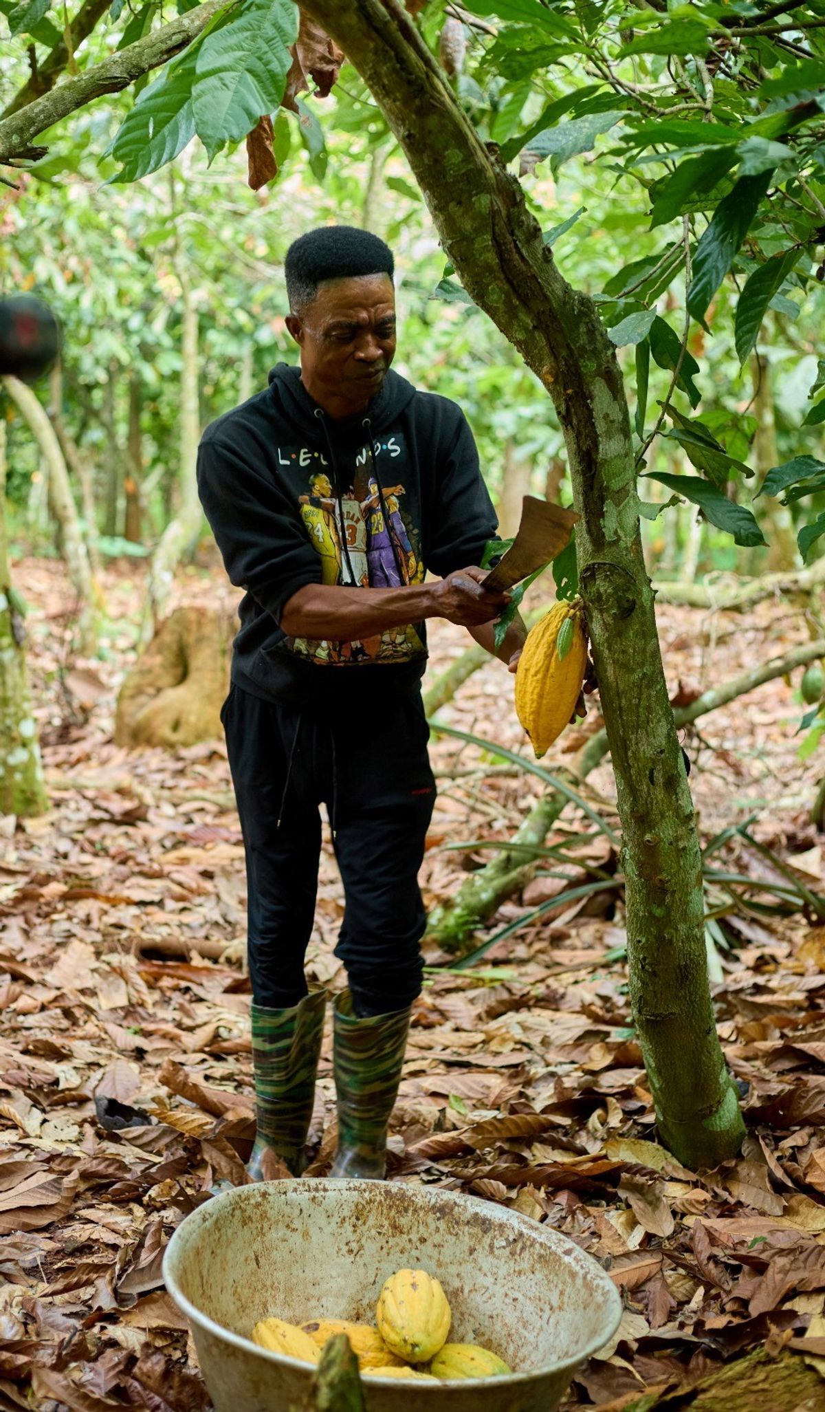 When cocoa prices fall, farmers shouldn’t have to bear the cost