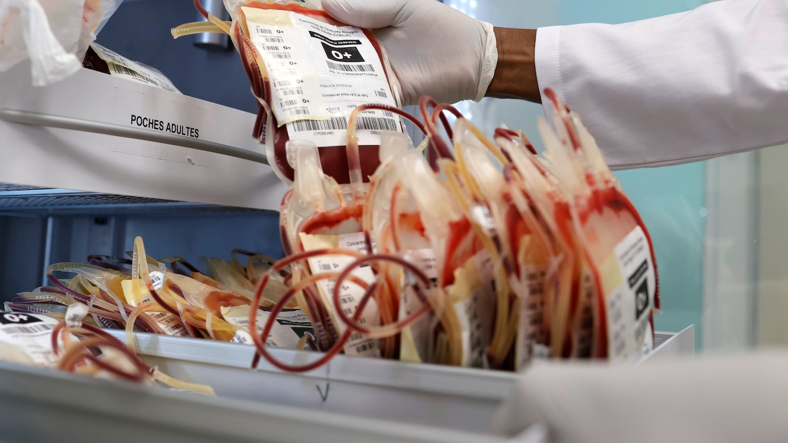 West African scientists warn of weakening health systems and urge stronger outbreak detection