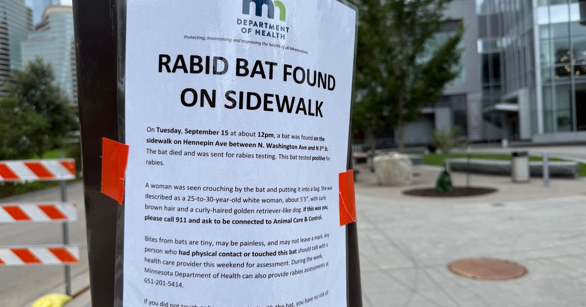Health officials seek woman seen handling rabid bat in downtown Minneapolis on Tuesday
