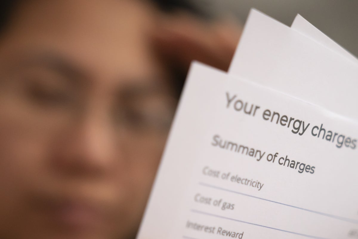 Government urged to make flexible tariffs standard to slash UK household energy bills