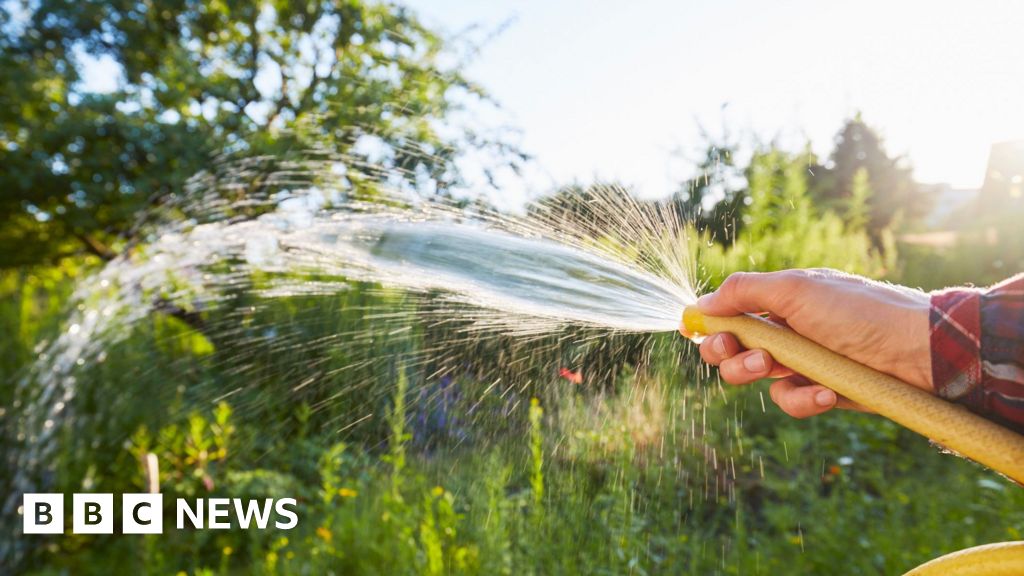 Thames Water says hosepipe ban could last months yet