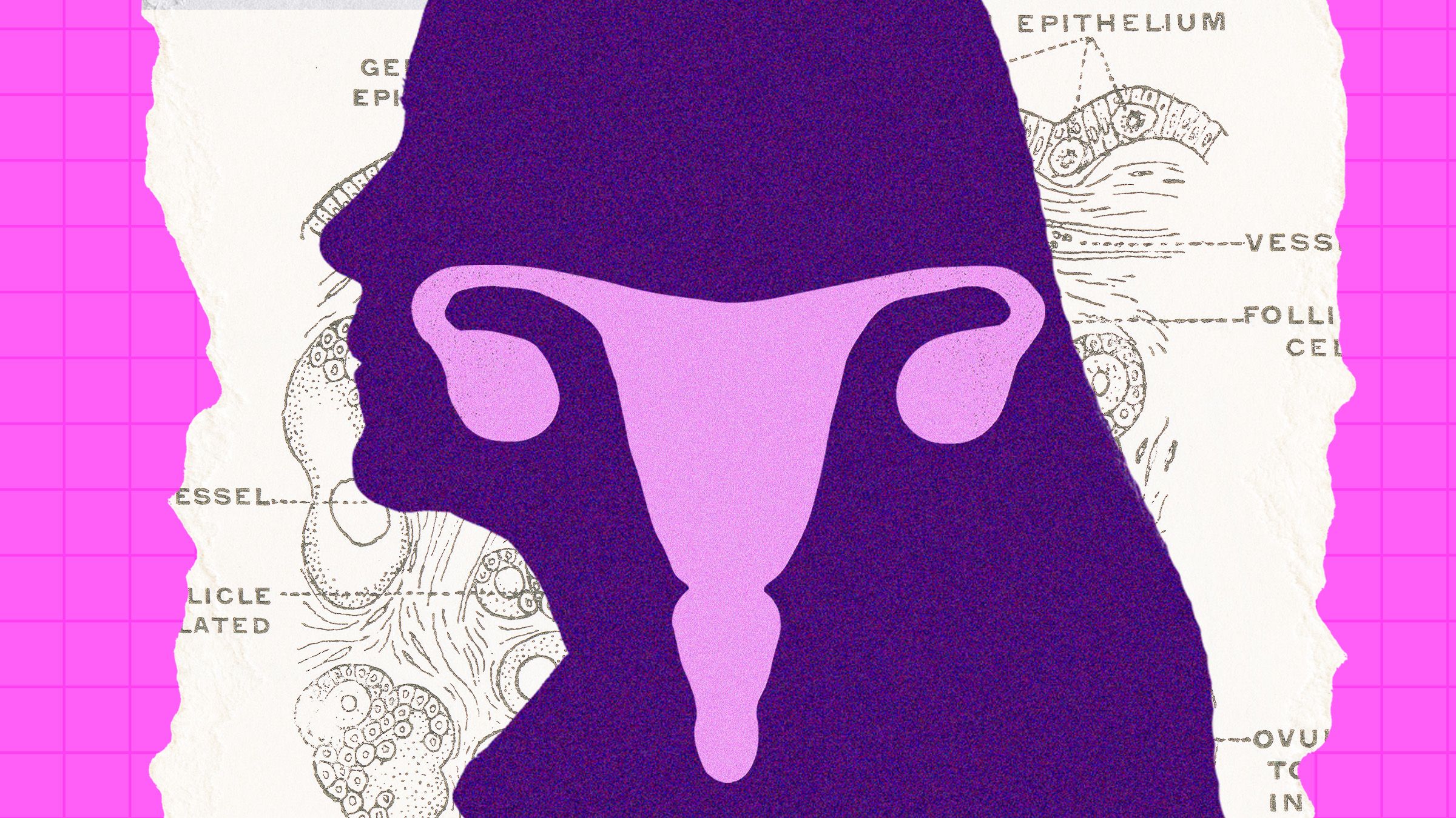 The Ovary Is Surprisingly Active After Menopause. Scientists Are Trying to Figure Out Why