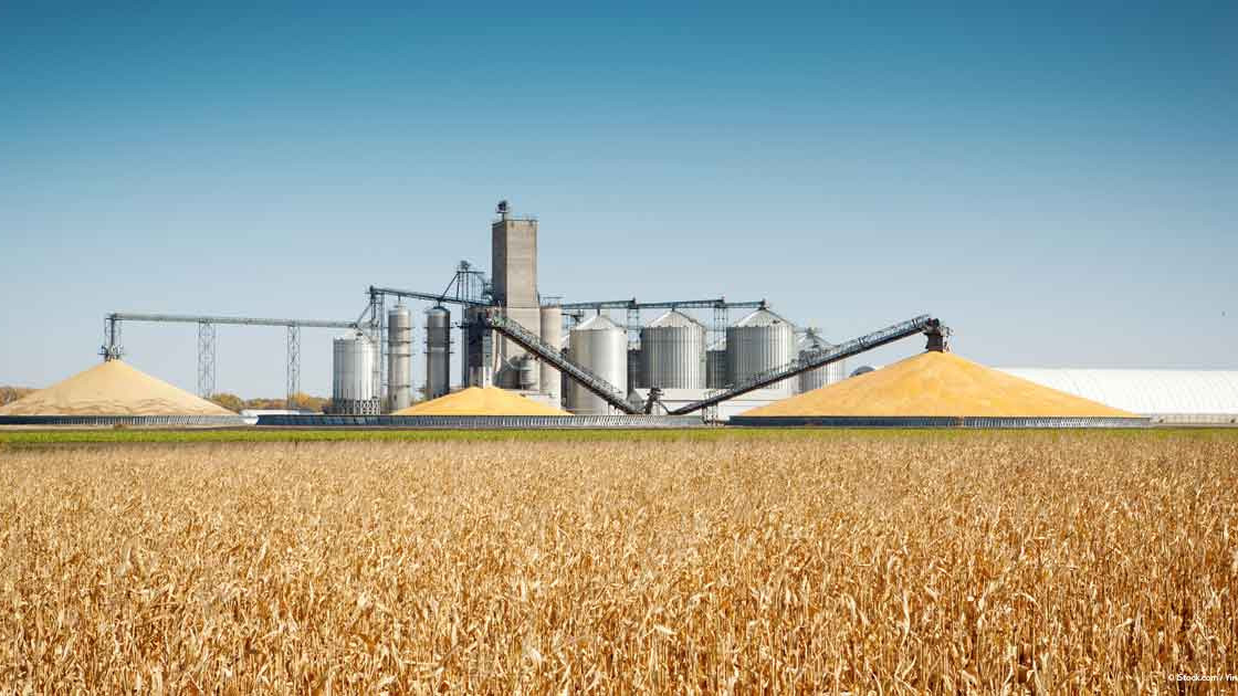 Global Biofuels Output Could Surge 70% Amid Energy Crisis