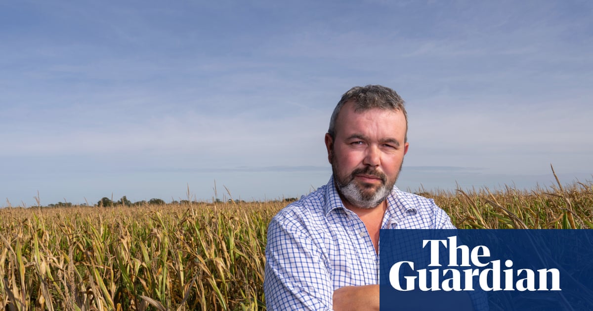 ‘We can’t ride this storm’: the English farmers facing uncertainty after sustainability funding runs dry