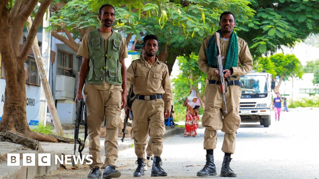 Ethiopia fighting: Are Tigray's TPLF forces and the army heading back to war?