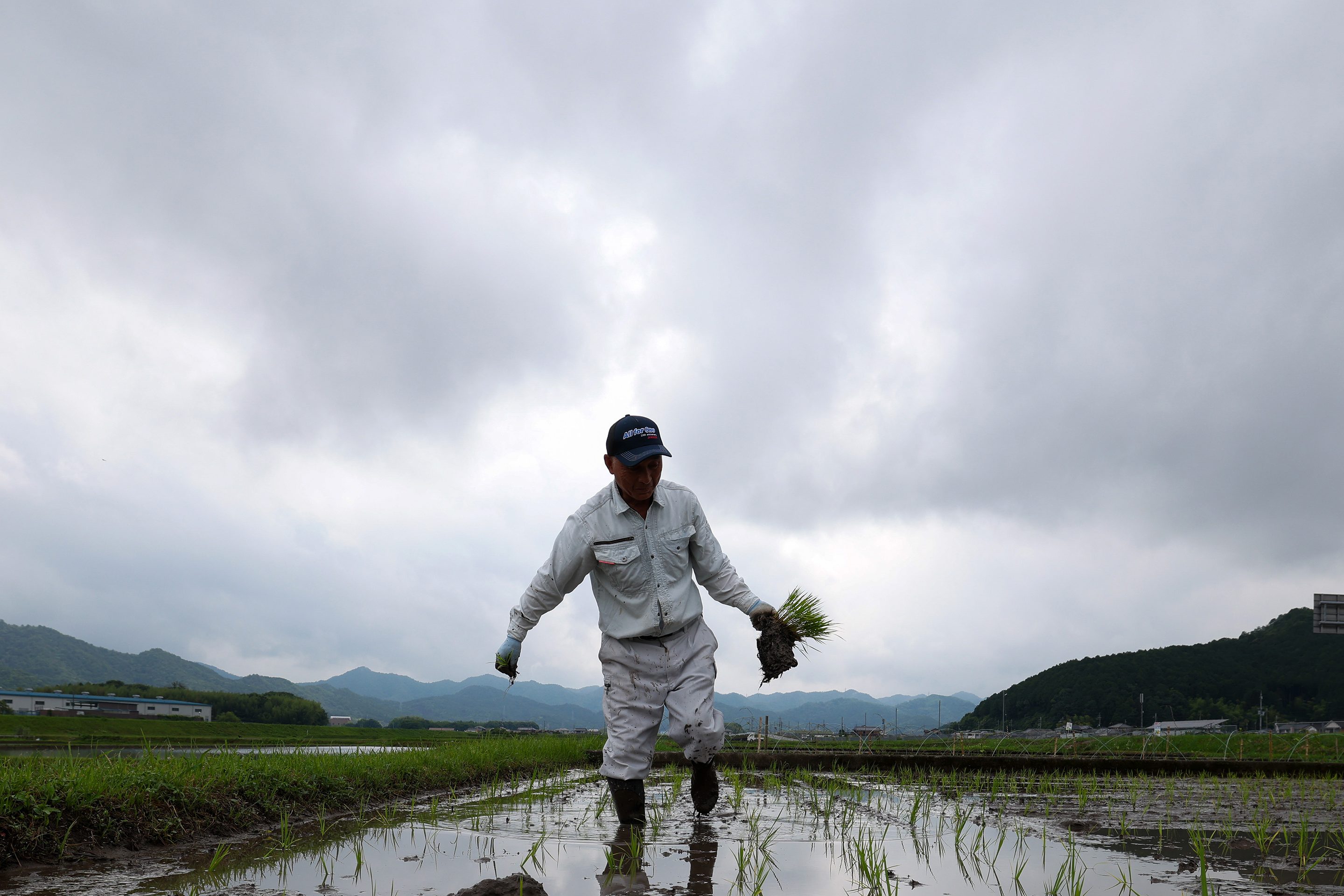 Japan went from a rice shortage to a rice surplus in two years, due to drought, tourism and the U.S.