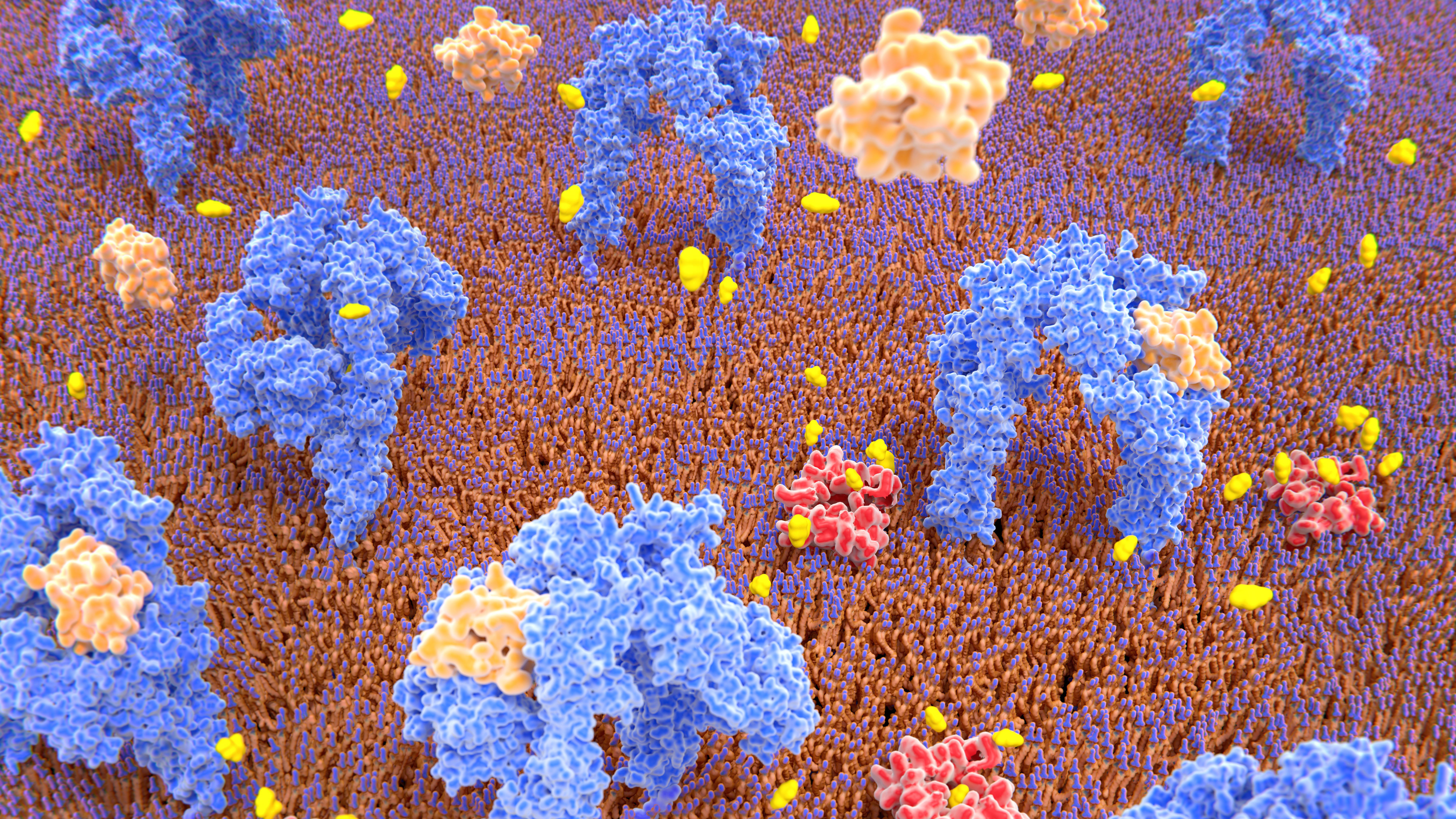 Some Pancreatic Cells Are Just One Genetic Tweak Away From Treating Diabetes
