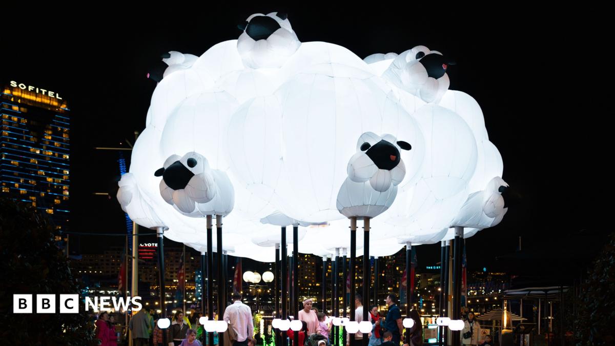 River of Light 2026: Everything you need to know