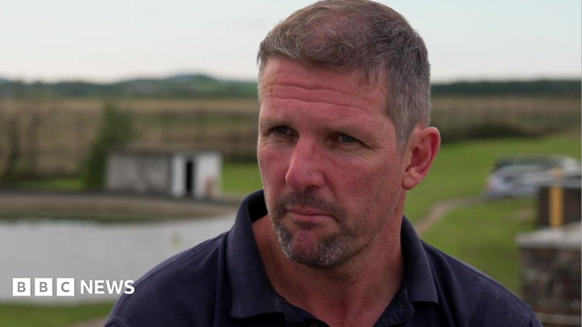 Dorset farmer concerned about animal fertility after bluetongue