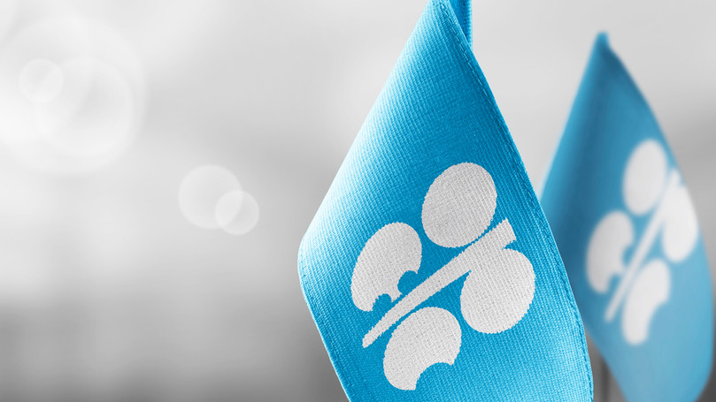 OPEC Expected to Keep Oil Production Quotas Unchanged