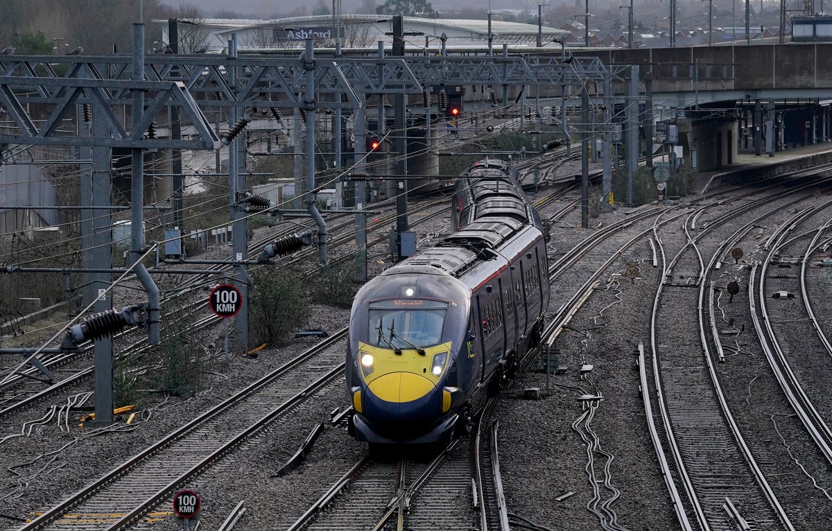 ‘Bedbug Express’: Trains cancelled after pests spotted on Southeastern railway