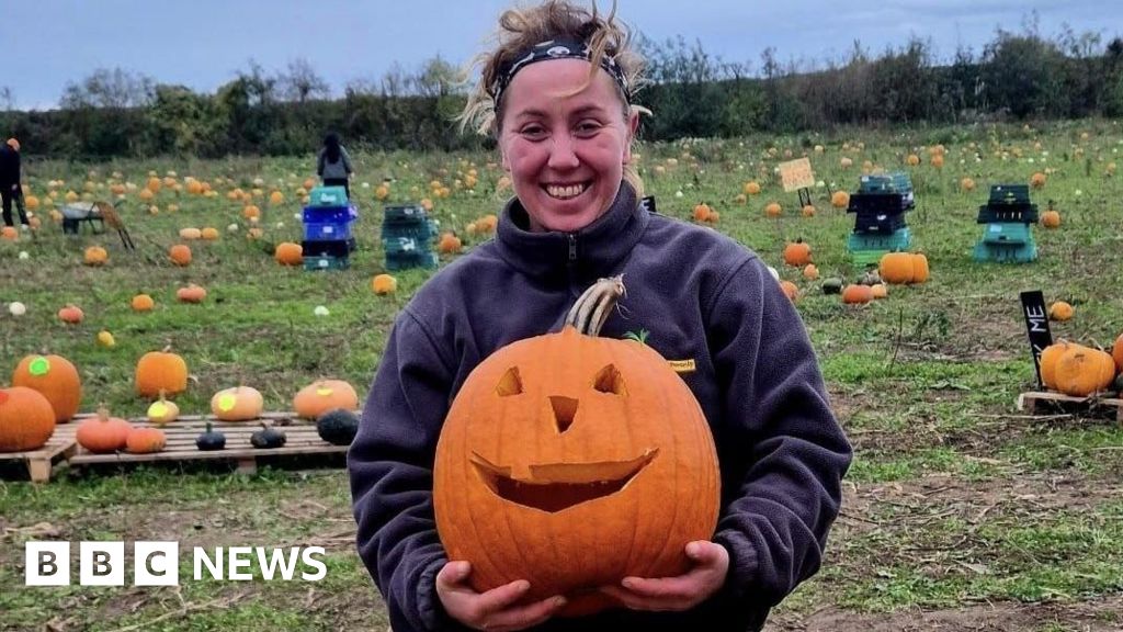 Dry weather forces Kent farms to close pumpkin picking fields