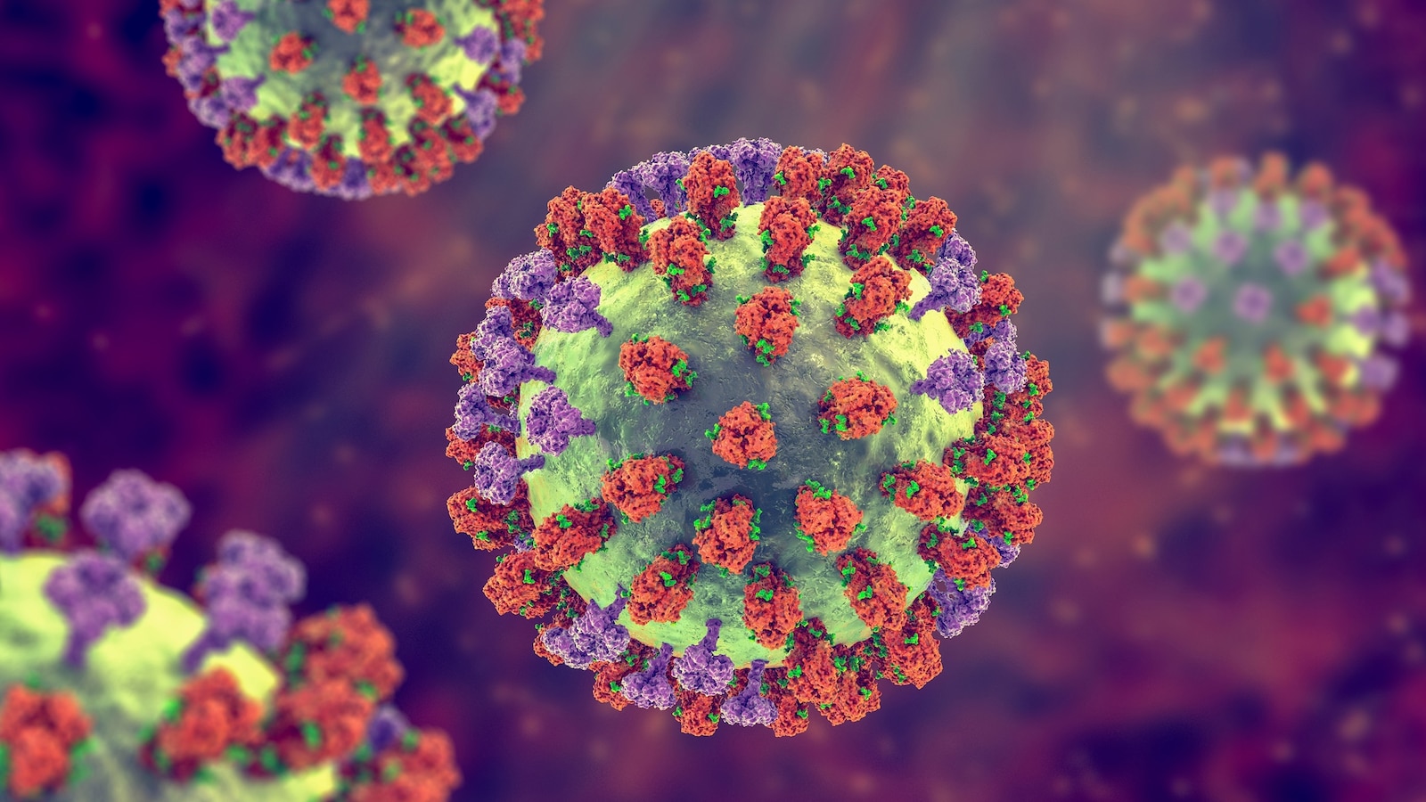 San Francisco records 1st flu-related death as season begins