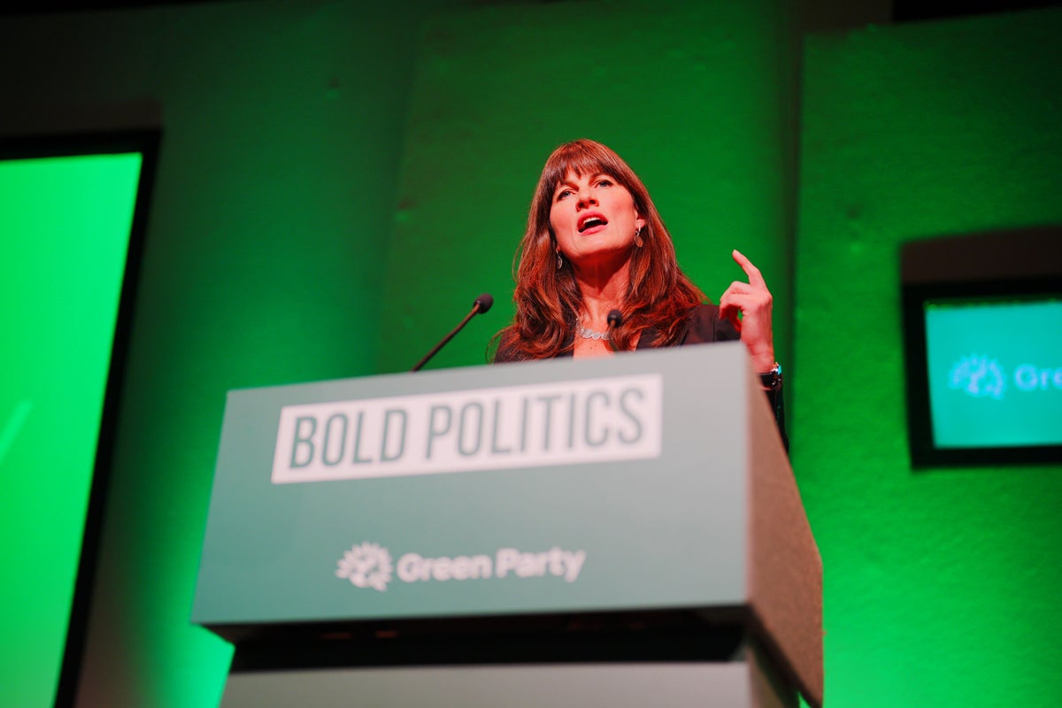 Water companies should be nationalised immediately, Greens to say