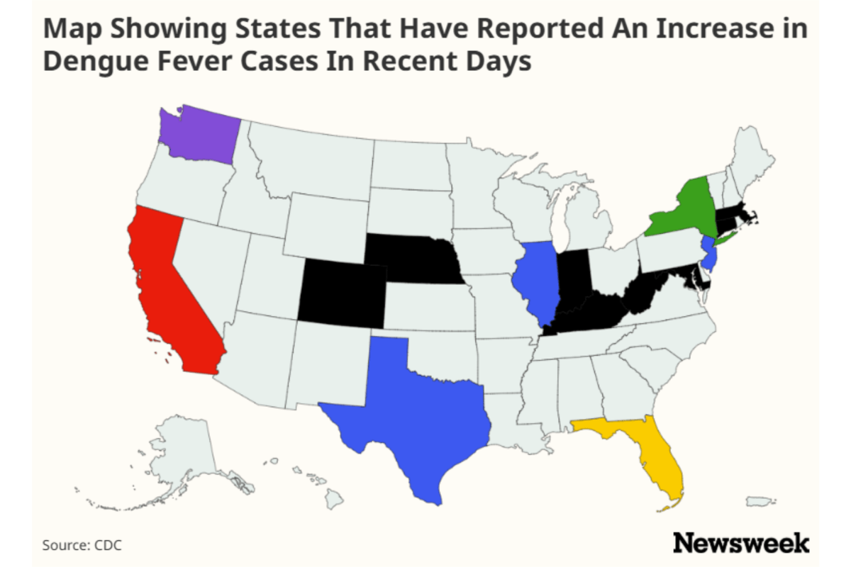 Map Shows States Where Dengue Fever Cases Have Risen After Florida Outbreak