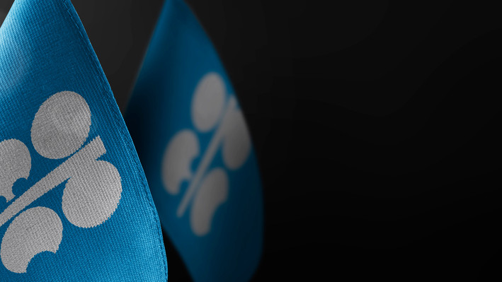 OPEC Holds November Quota at 31.01 Million Barrels Daily