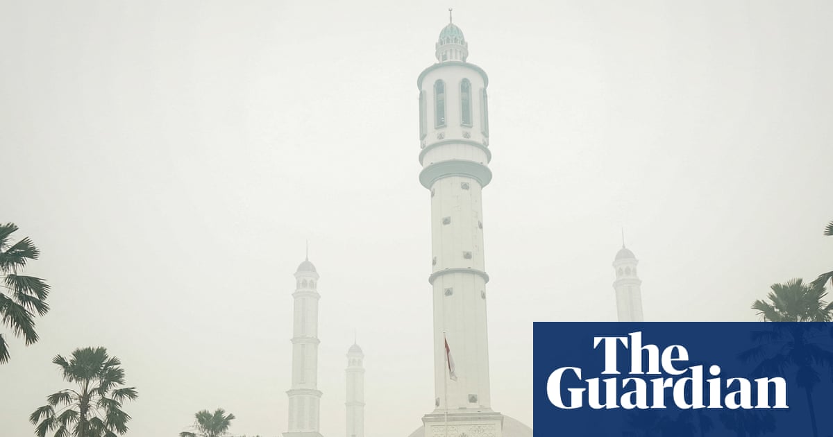 Indonesia accused of ‘gross negligence’ in wildfires lawsuit as haze tests region