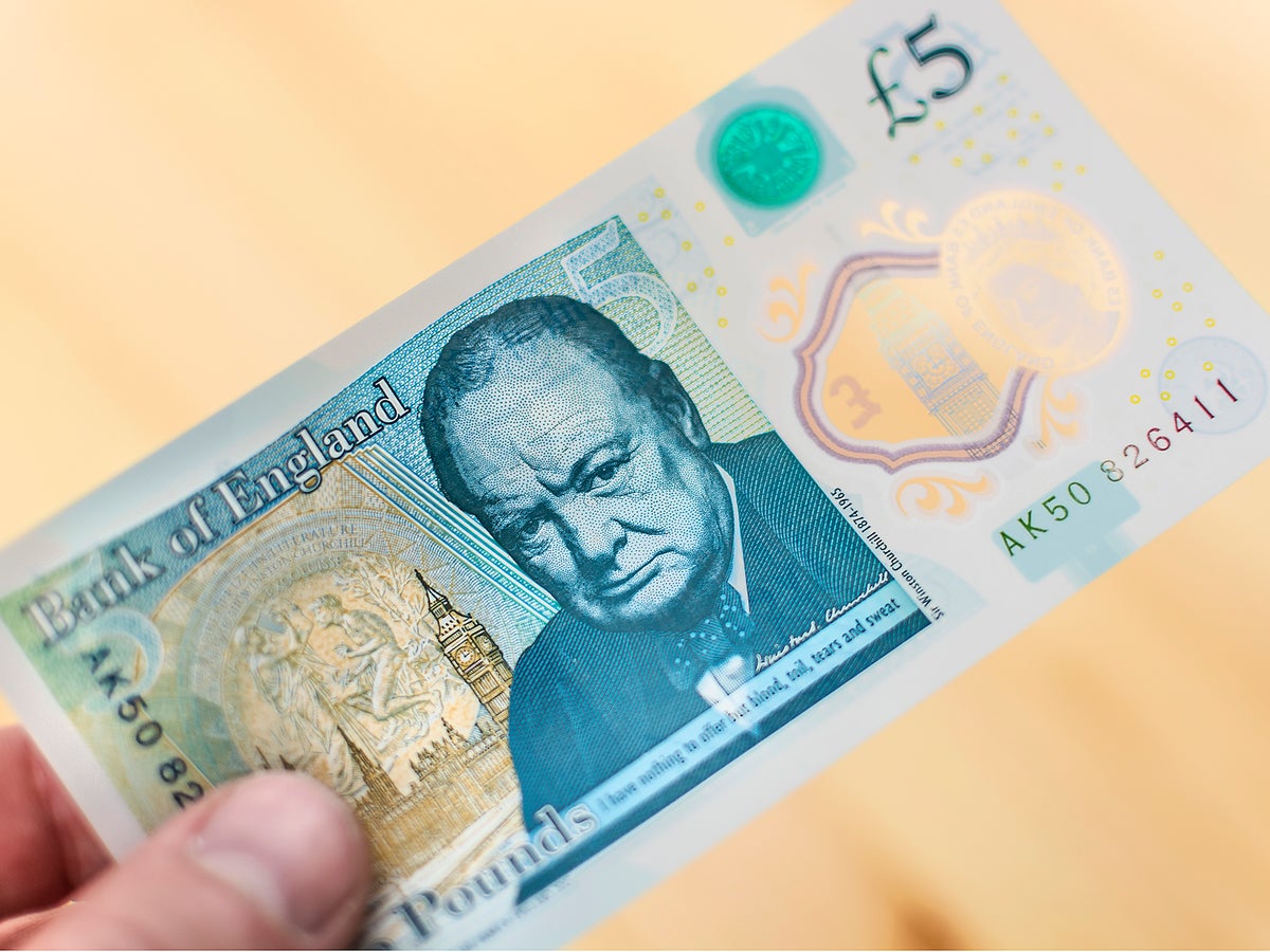 Winston Churchill dropped for wildlife drawings on new bank notes
