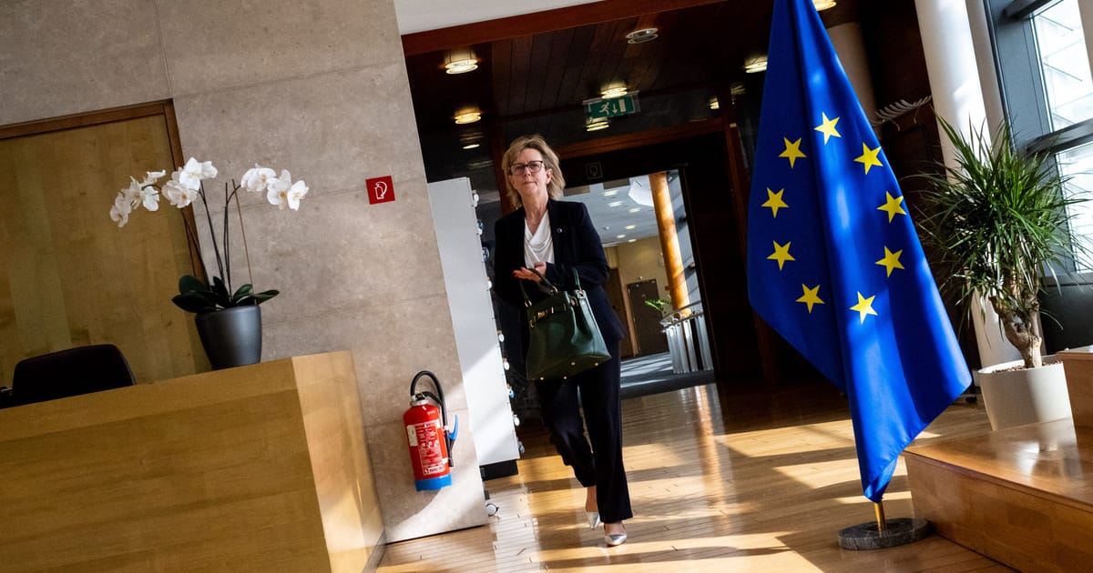 Finance ministers strike market supercop deal despite Brussels’ objections