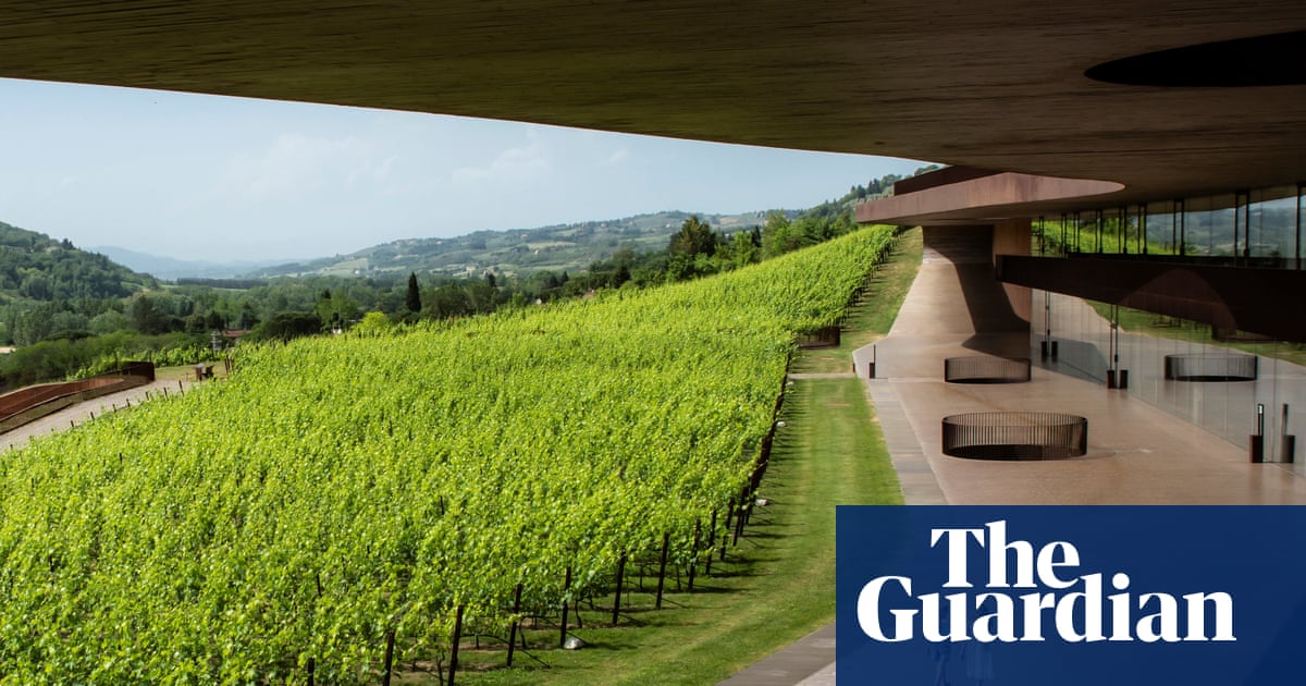 Thieves make off with €5m haul from prestigious Italian winery