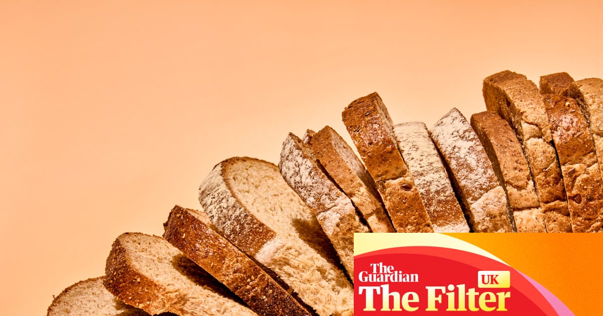 ‘A proud loaf with a deep, caramel crust’: the best (and worst) supermarket sliced wholemeal bread, tasted and rated
