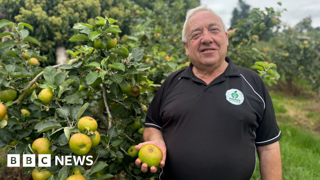 Armagh apples helping to keep a rural community connected
