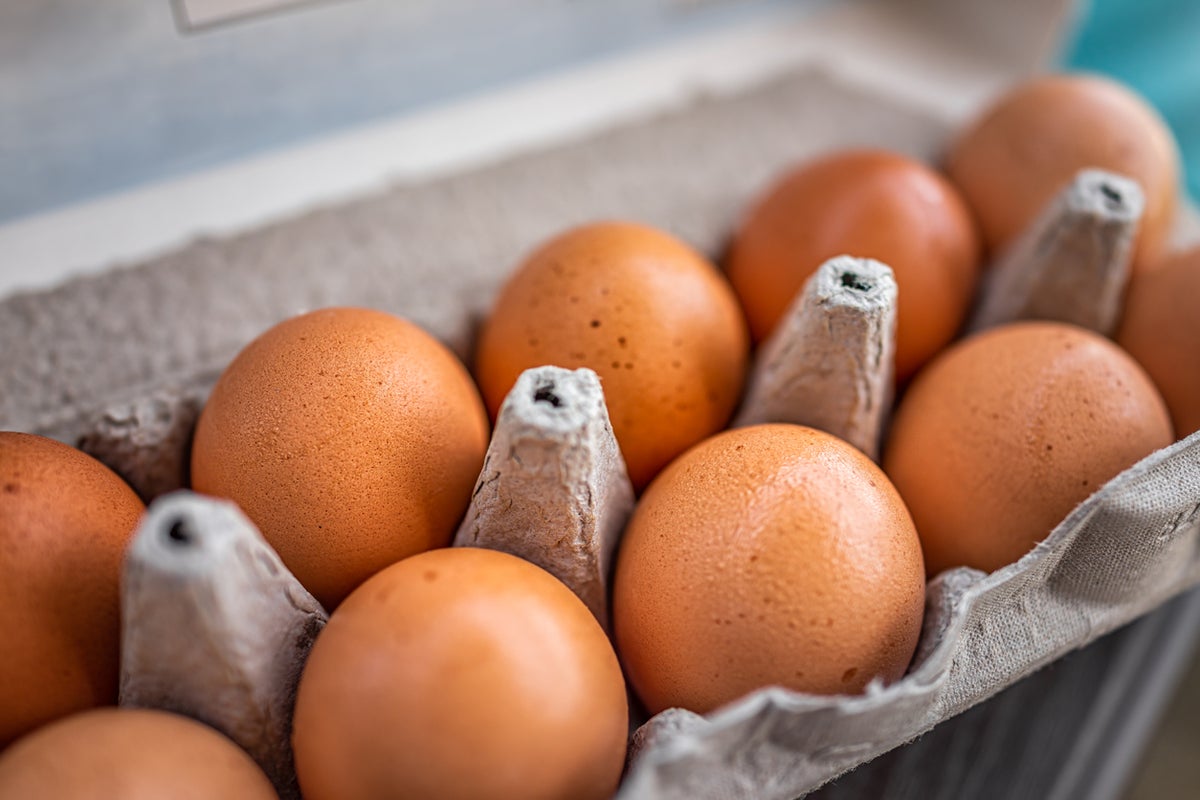 'Do not eat': Warning issued after Salmonella identified in imported eggs