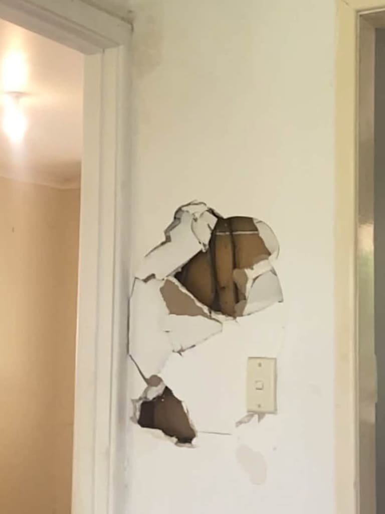 ‘Adults did it’: Landlord reveals damage after evicting tenants