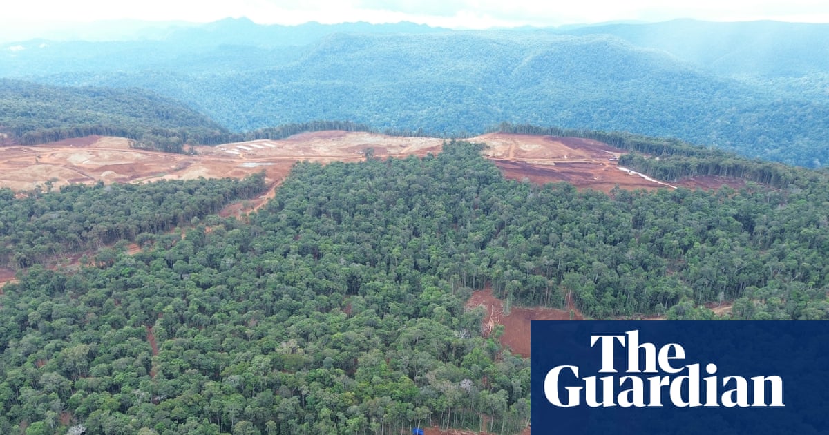 Revealed: VW, Ford and Tesla batteries linked to destructive deforestation of indigenous lands