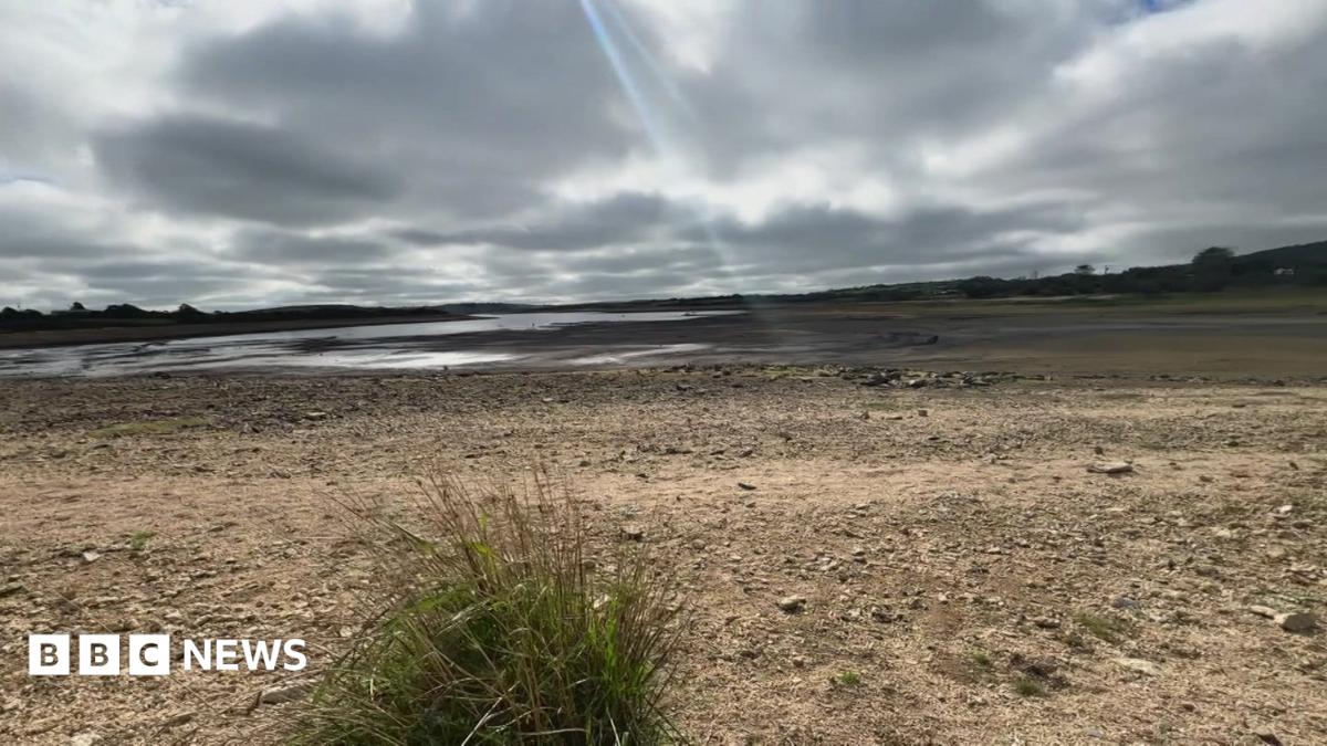 South West drought blamed on water firm's 'neglect'