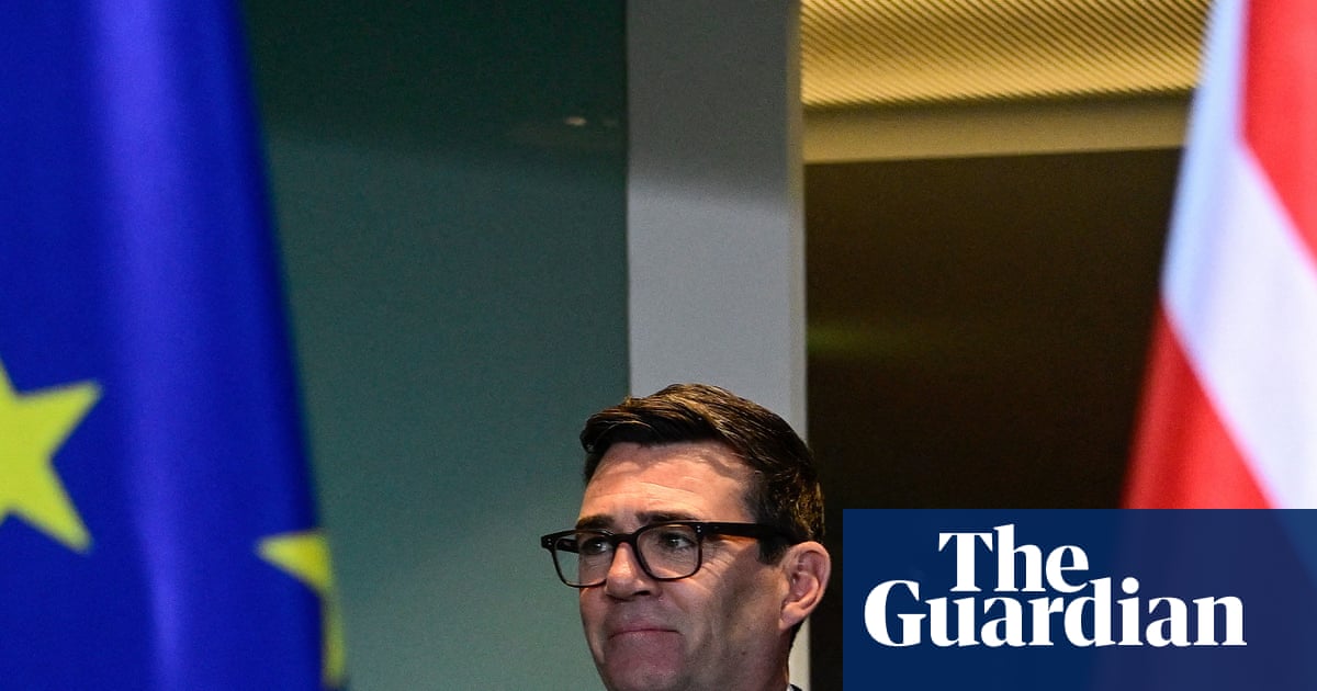 UK could quickly re-enter EU with ‘Switzerland plus’ deal, senior MEP says