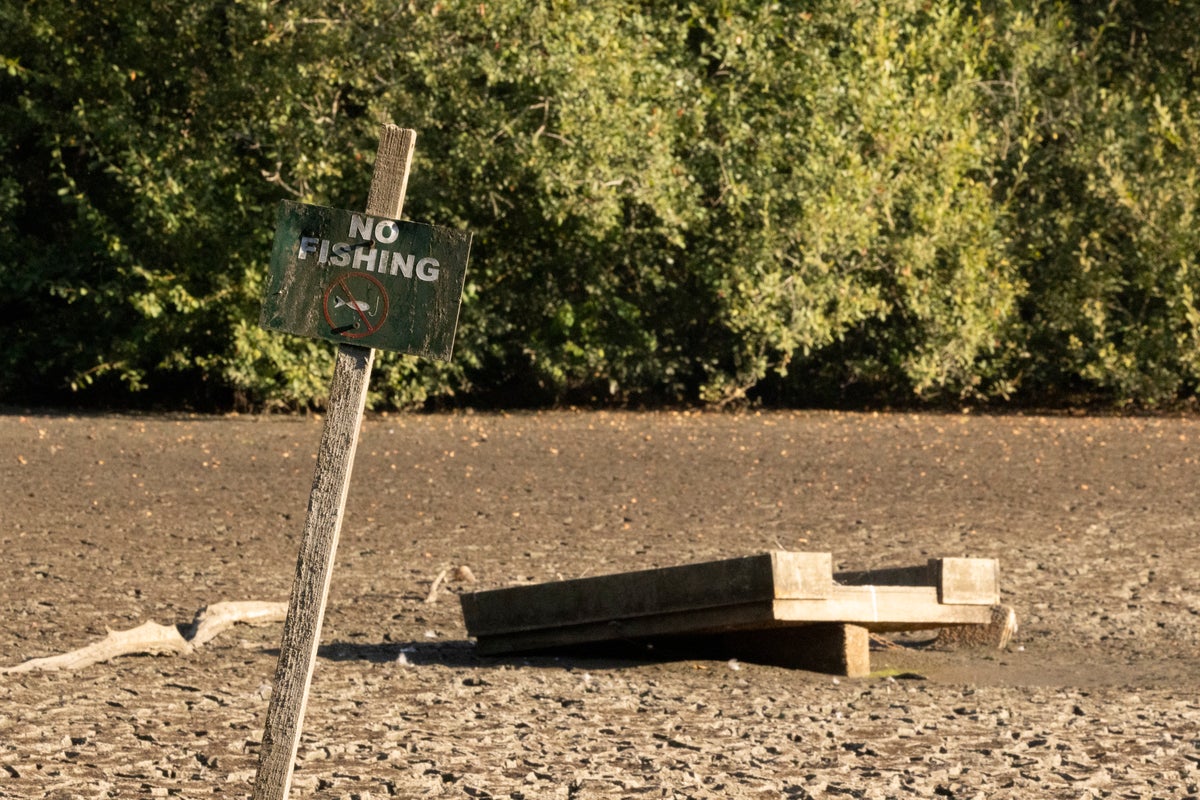 What is severe drought – and where has it been declared in the UK?