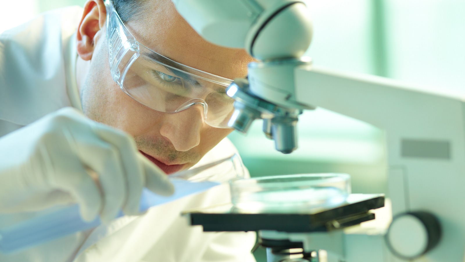 3 Stocks Retail Investors Are Watching In Oral GLP 1 Weight Loss Drugs