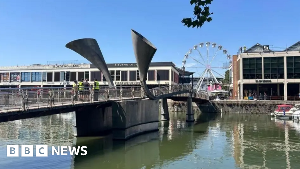 'Collapsed bridge findings' and 'Animal cruelty'