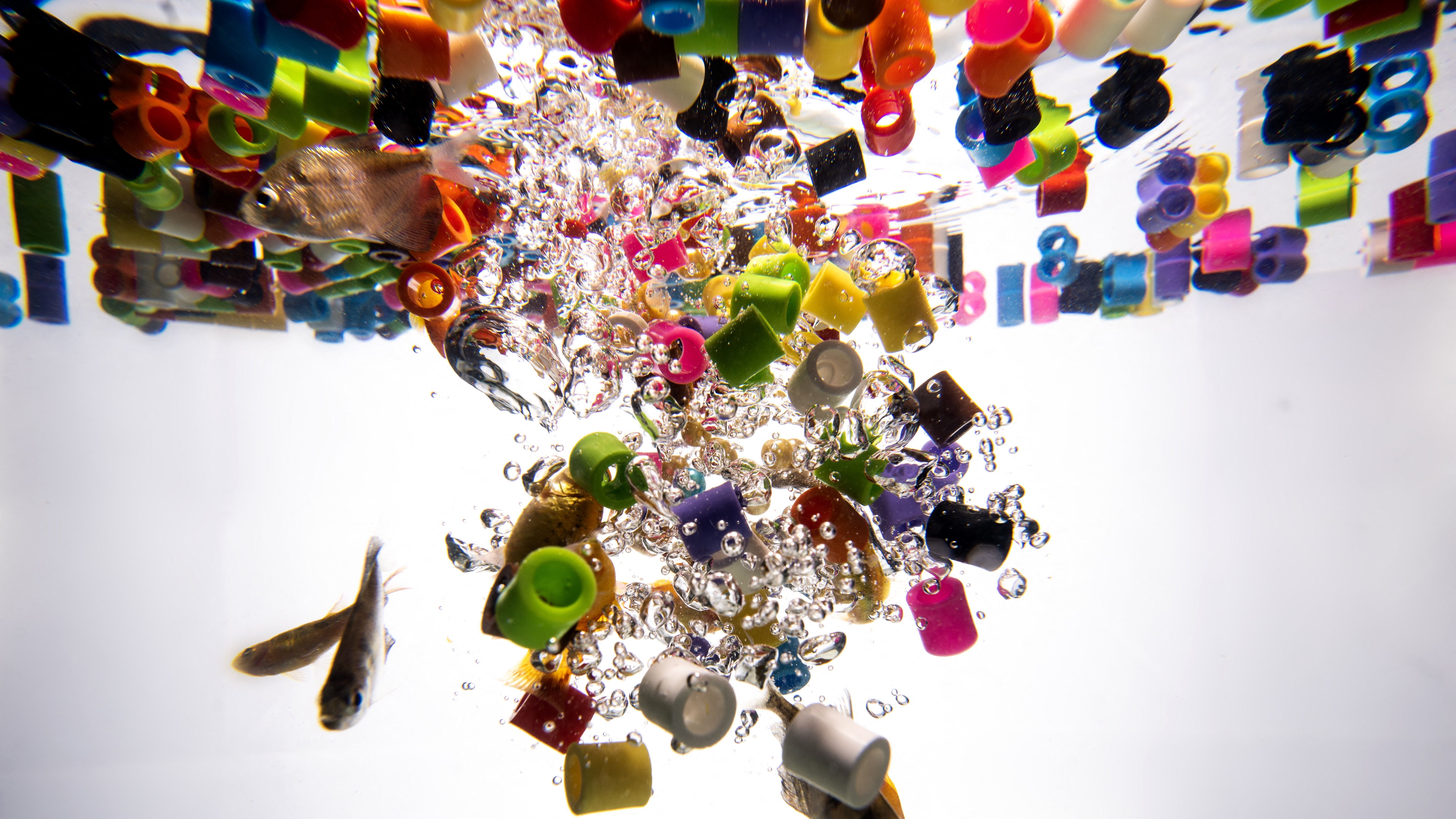 Microplastics React With Water, a New Study Says. That’s a Problem for Biology