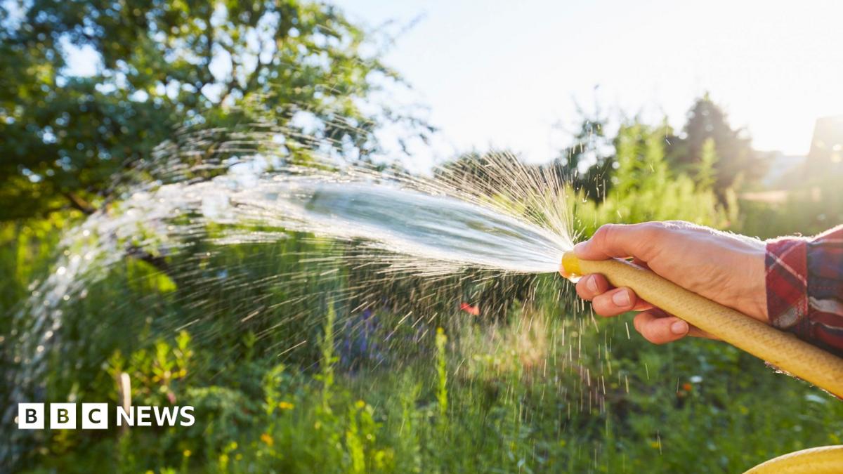 Thames Water hosepipe ban to continue through autumn amid drought